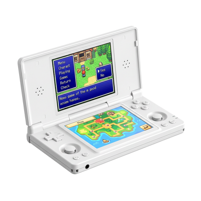 The Pokket™ RG DS